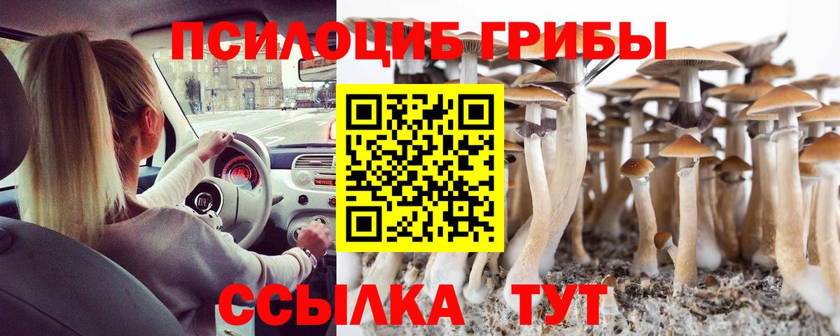 Галлюциногенные грибы MAGIC MUSHROOMS Сыктывкар
