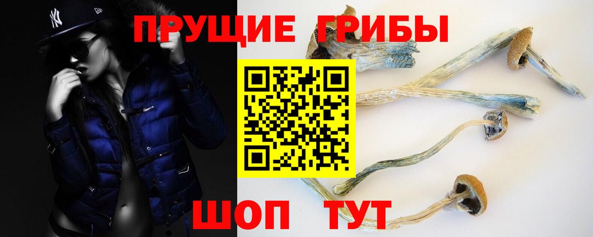 Псилоцибиновые грибы Magic Shrooms  Псилоцибиновые грибы прущие грибы  Вход с VPN  купить   Сыктывкар 