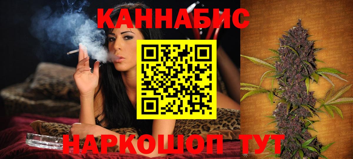 Сыктывкар  Бошки Шишки тримм  Вход с VPN  Бошки марихуана планчик  Канабис гибрид 